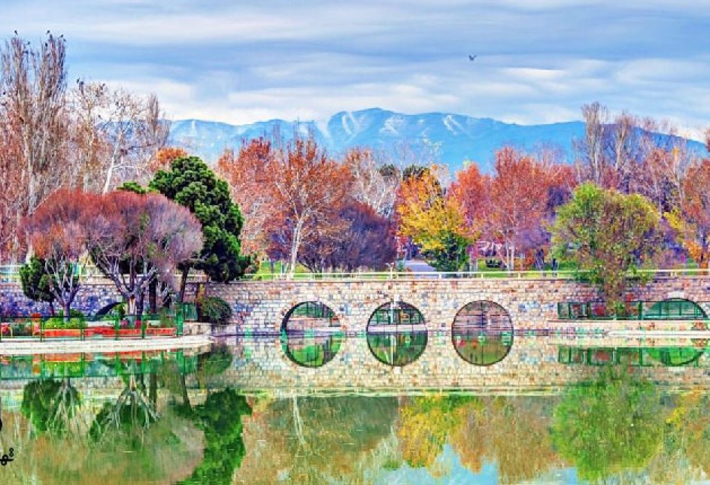 770_45083_6104ef53d3cb0